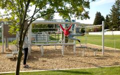 Child playing on the monkey bars at Byng Park on a bright sunny day. 
